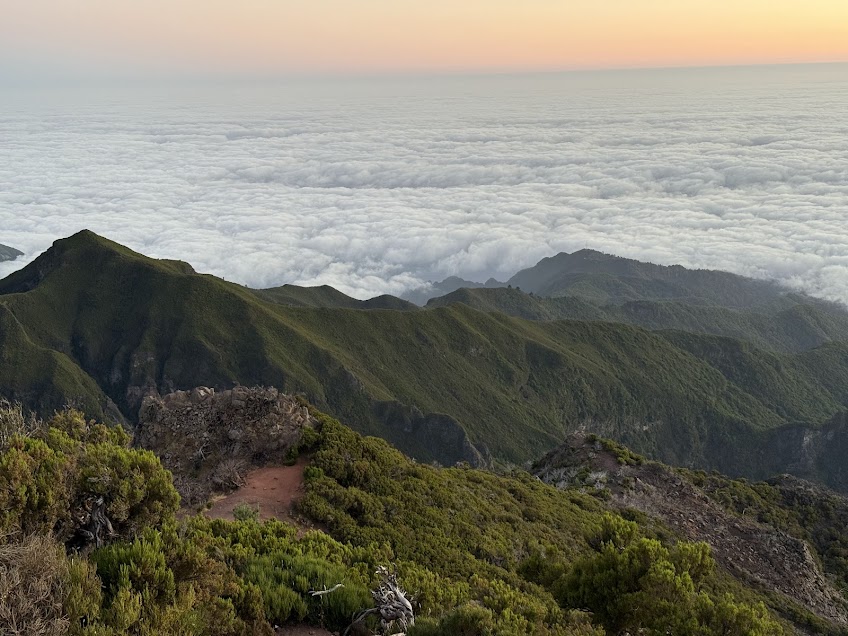 madeira