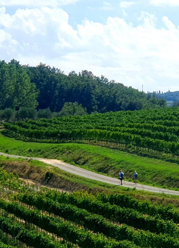 via francigena toscana