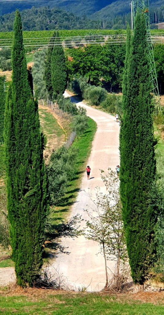 via francigena toscana