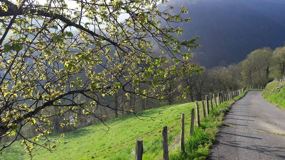 navarra sul cammino di santiago